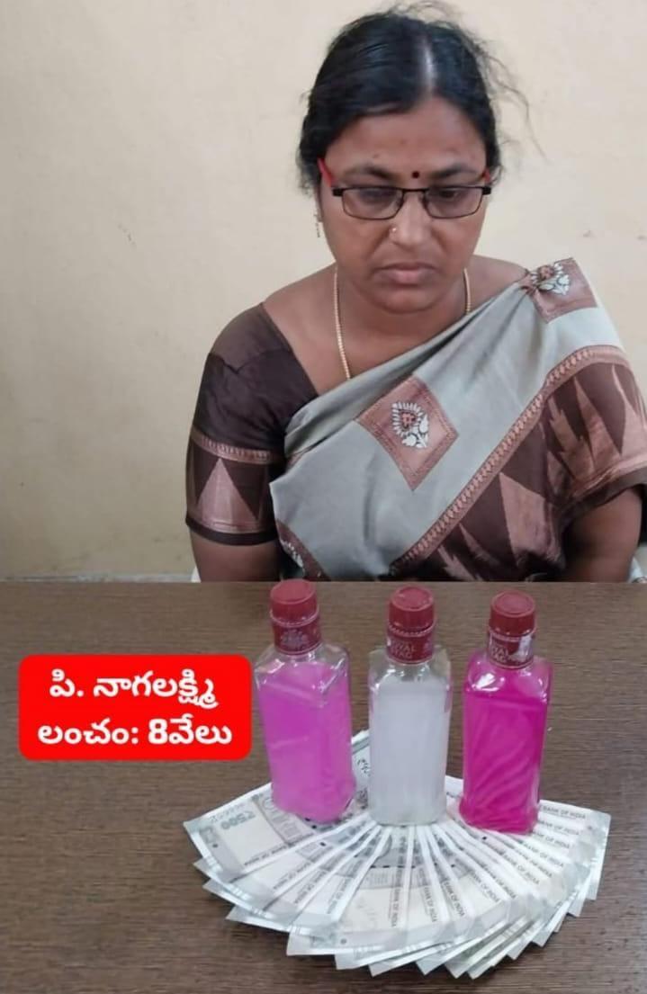 ఎనిమిది వేల లంచం తీసుకుంటూ ACB అధికారులకు చిక్కిన పంచాయతీ కార్యదర్శి
